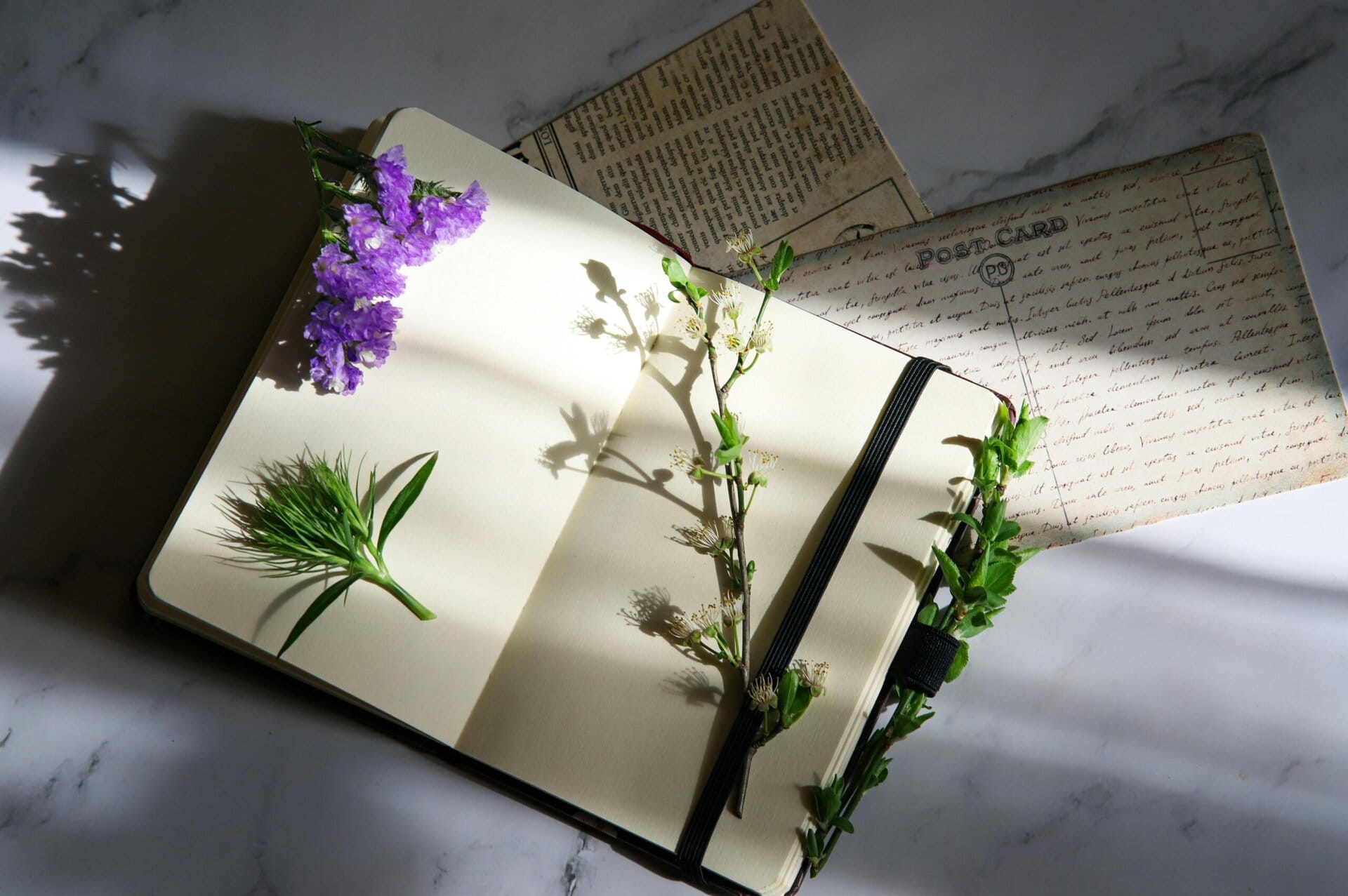 an open notebook with pressed flowers and leaves inside, resting on a marble surface with a vintage postcard and newspaper clipping in the background.