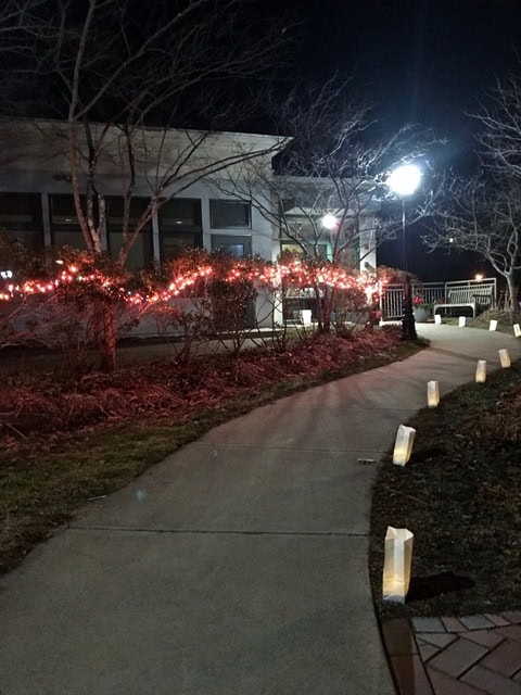 a curved sidewalk at night is lined with glowing paper lanterns and red string lights on nearby bushes, next to a building.