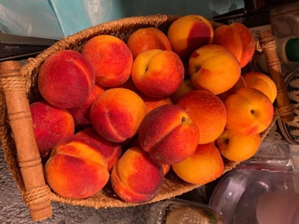 a woven basket filled with ripe peaches, displaying a mix of red and yellow hues, sits on a countertop.