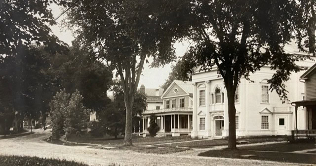 black and white photo of a quiet street lined with large trees and several historic, white, two story houses with columns and porches.