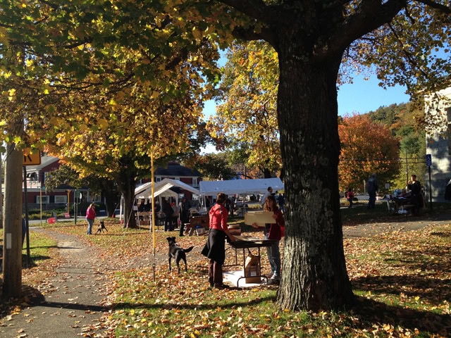 people gather in a park with autumn foliage, some standing at tables under a large tree, and tents are set up in the background.