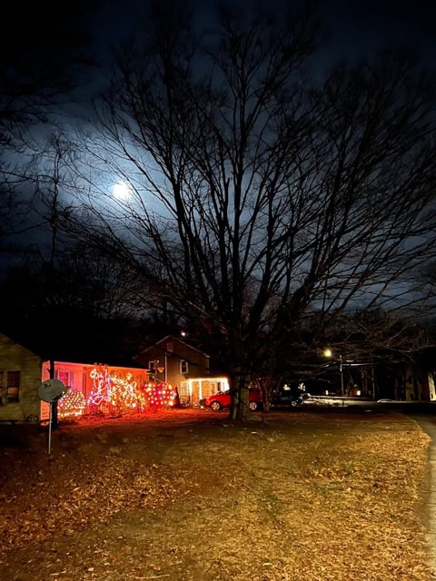 a house with a tree and lights.