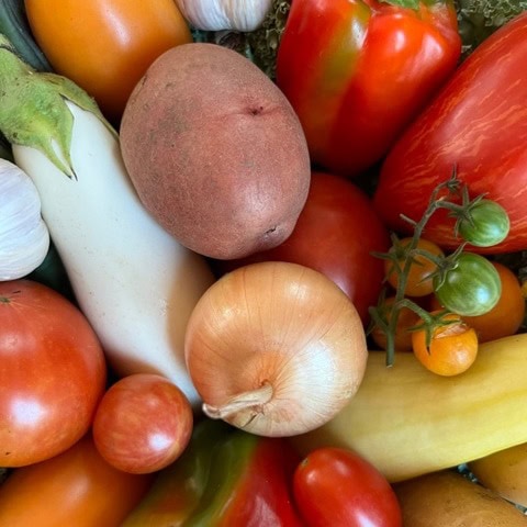a variety of fresh vegetables including tomatoes, onion, eggplant, potatoes, bell peppers, garlic, and cherry tomatoes.