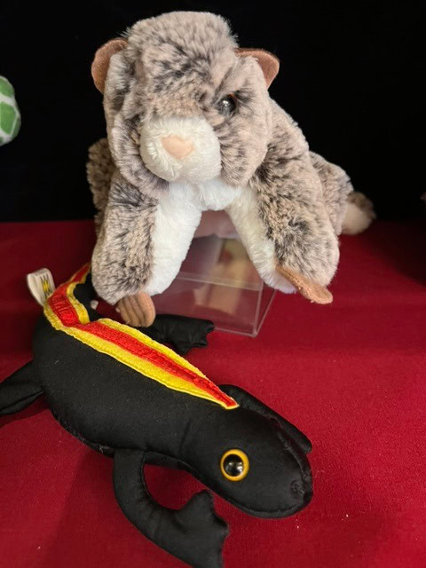 a plush cat sits on a clear box above a black plush lizard with red and yellow stripes, both on a red surface.