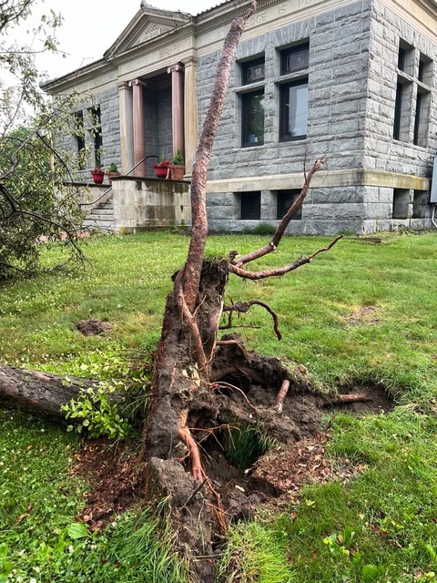 a large tree has been uprooted and lies on the grass in front of a stone building with columns and large windows.