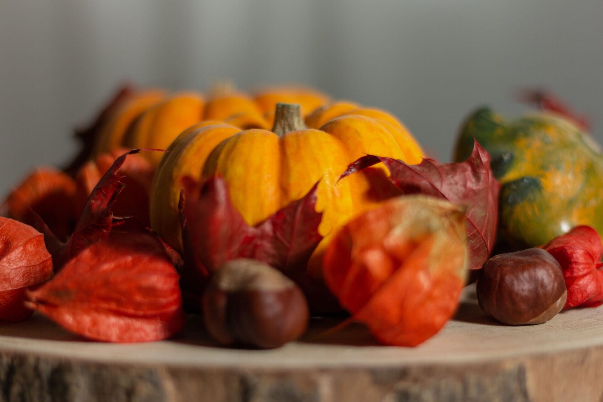 mini pumpkins, chestnuts, and red autumn leaves arranged on a wooden slice.