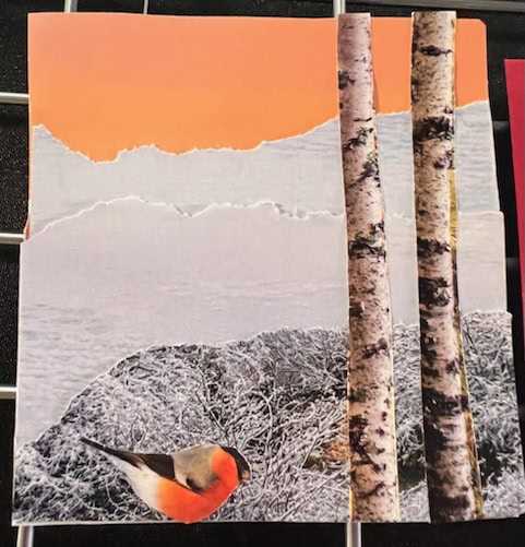 a collage featuring two birch tree trunks, a small bird with an orange breast, frosty ground, and an orange sky in the background.