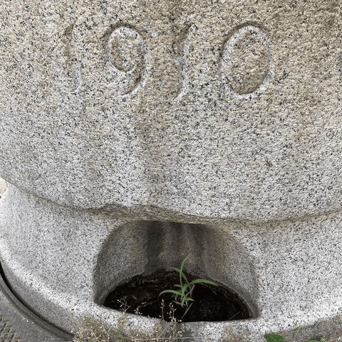 close up of a stone structure engraved with "1910" above a small alcove containing water and a few green plants growing inside.