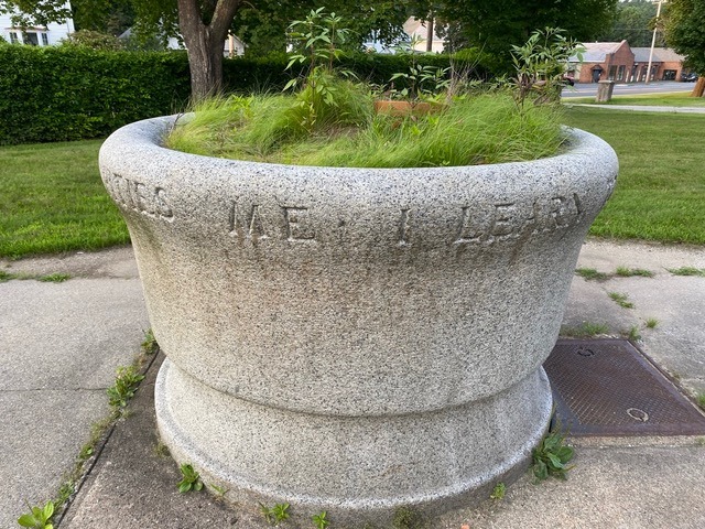 large, circular stone planter with grass and small plants growing inside. the words “horses need dear” are inscribed around the rim. the planter sits on a sidewalk in a green park.
