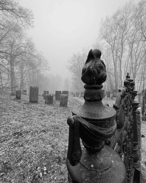 black and white photo of a foggy cemetery with old gravestones and bare trees, and an ornate iron fence in the foreground.