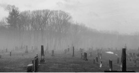 a foggy cemetery scene with numerous headstones scattered across a grassy field and bare trees in the background.