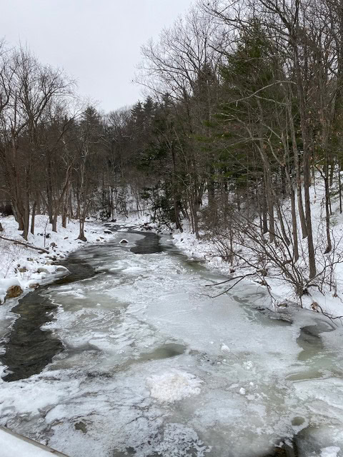a partially frozen creek runs through a snow covered forest with bare trees and evergreen trees under an overcast sky.