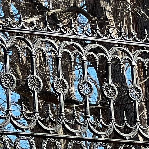 ornate black wrought iron fence with circular and arched patterns in front of leafless tree trunks and branches against a blue sky.