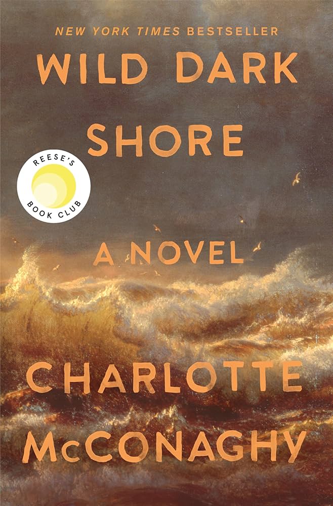 book cover for "wild dark shore: a novel" by charlotte mcconaghy, featuring turbulent ocean waves and a reese’s book club sticker.